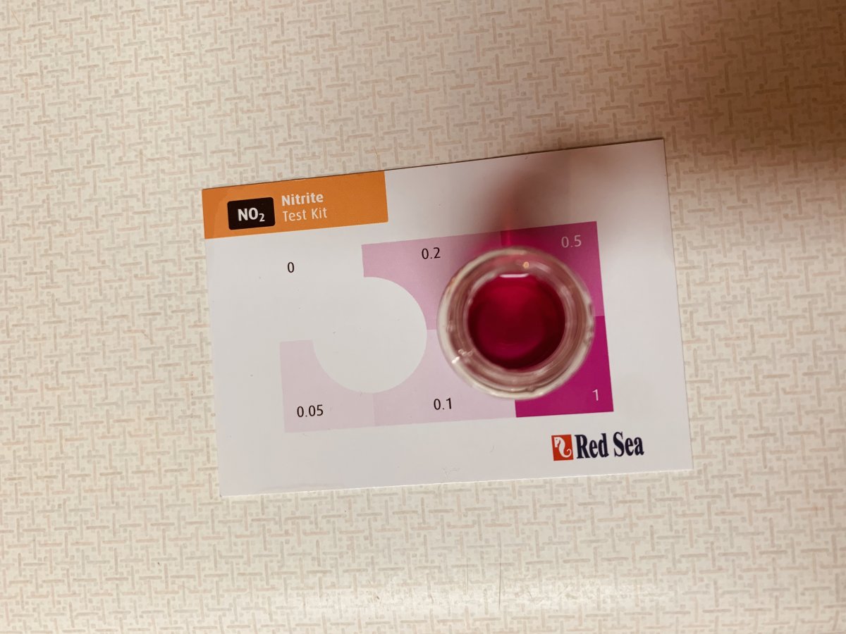 nitrite.jpg