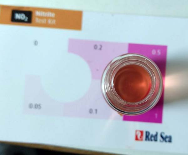 nitrite.jpg