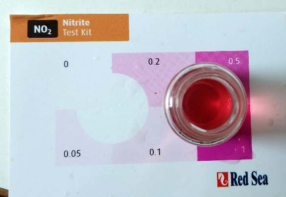 nitrite.jpg