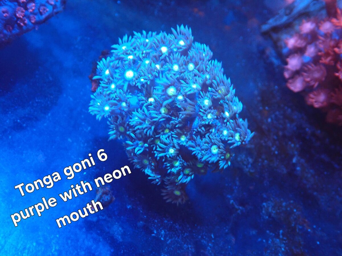 No. 6.JPG