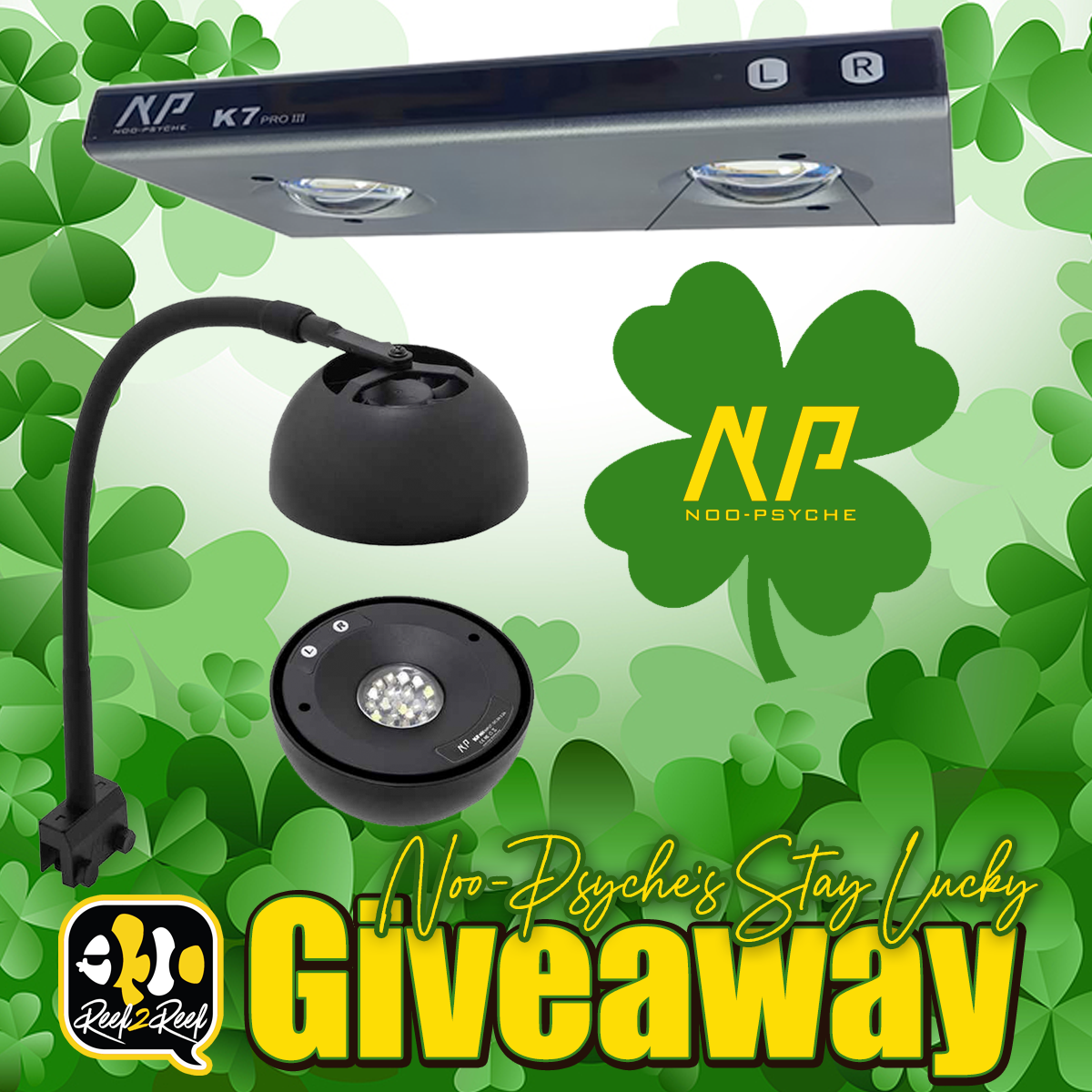 Noopsyche Giveaway Spring 24 lucky.png