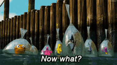 now what fish GIF.gif