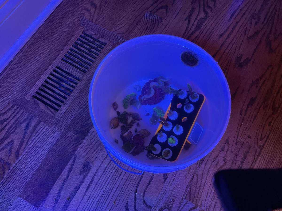 nr8.jpeg