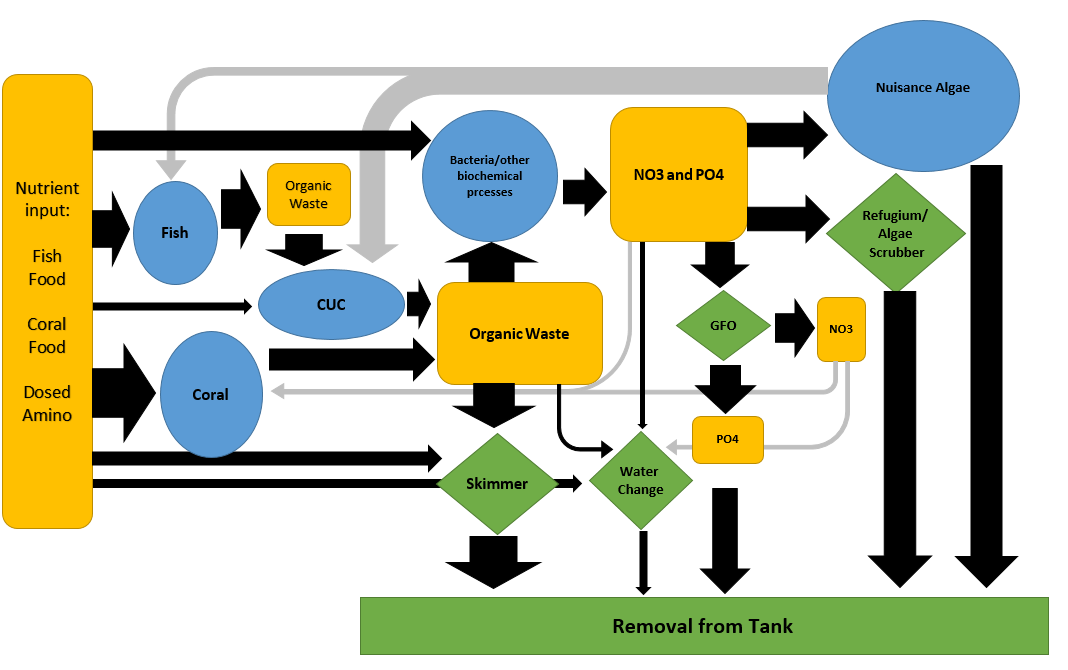 Nutrient Cycle.PNG
