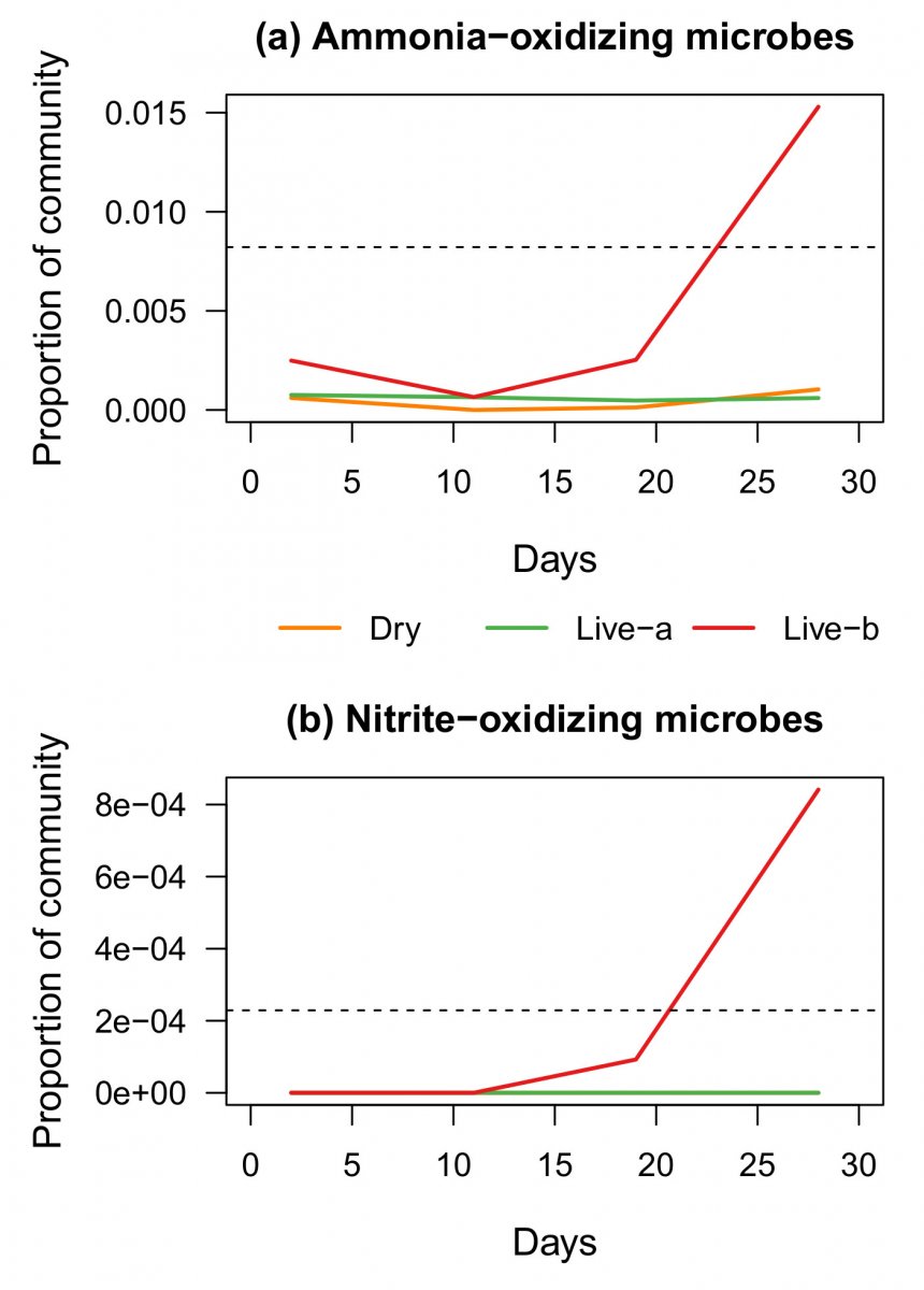 nutrient-processing-microbes-cycling_aqbm.jpeg