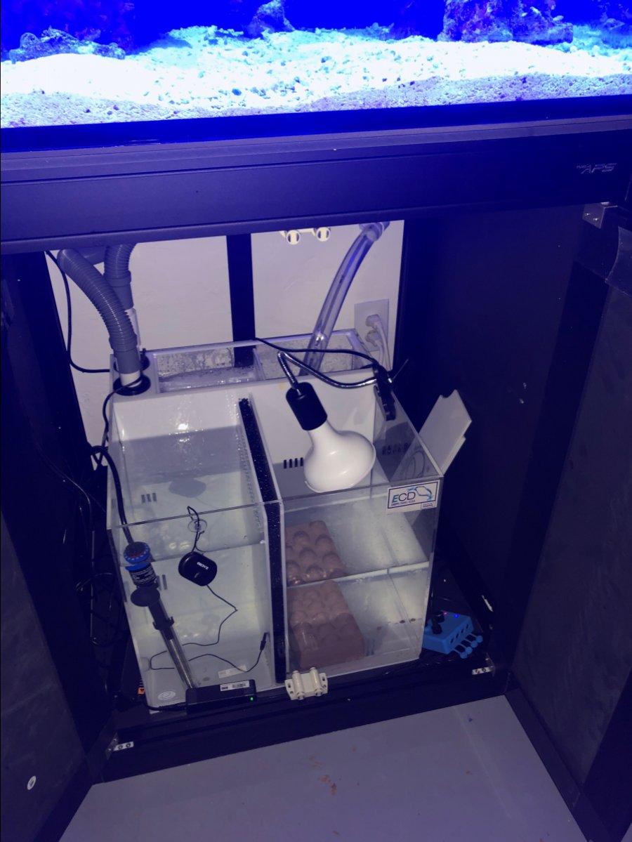 nuvo6.jpg