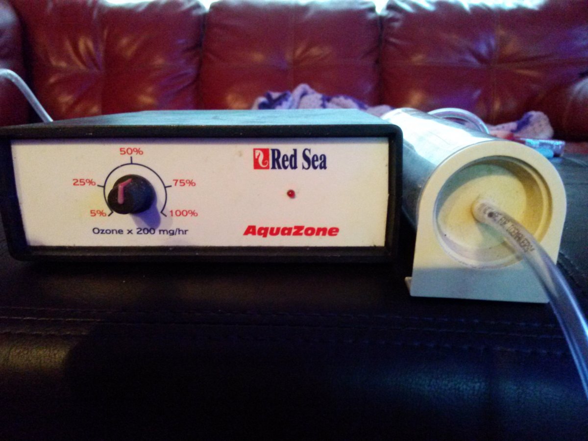 O2 Generator.JPG
