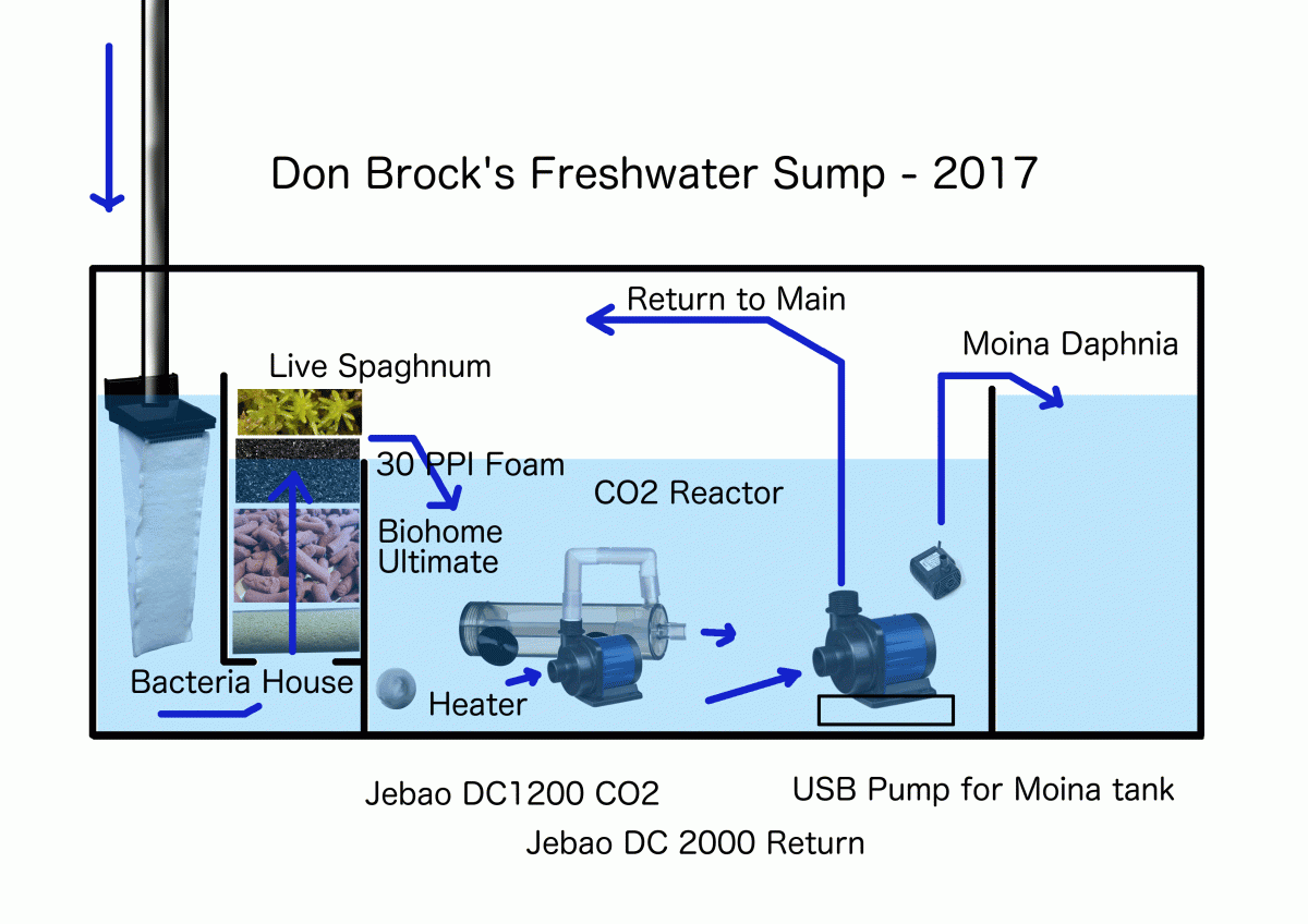 OB Sump.gif