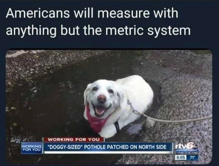 of-a-cute-dog-in-a-water-filled-pothole-and-a-news-headline-that-calls-it-a-doggy-sized-pothole.jpeg