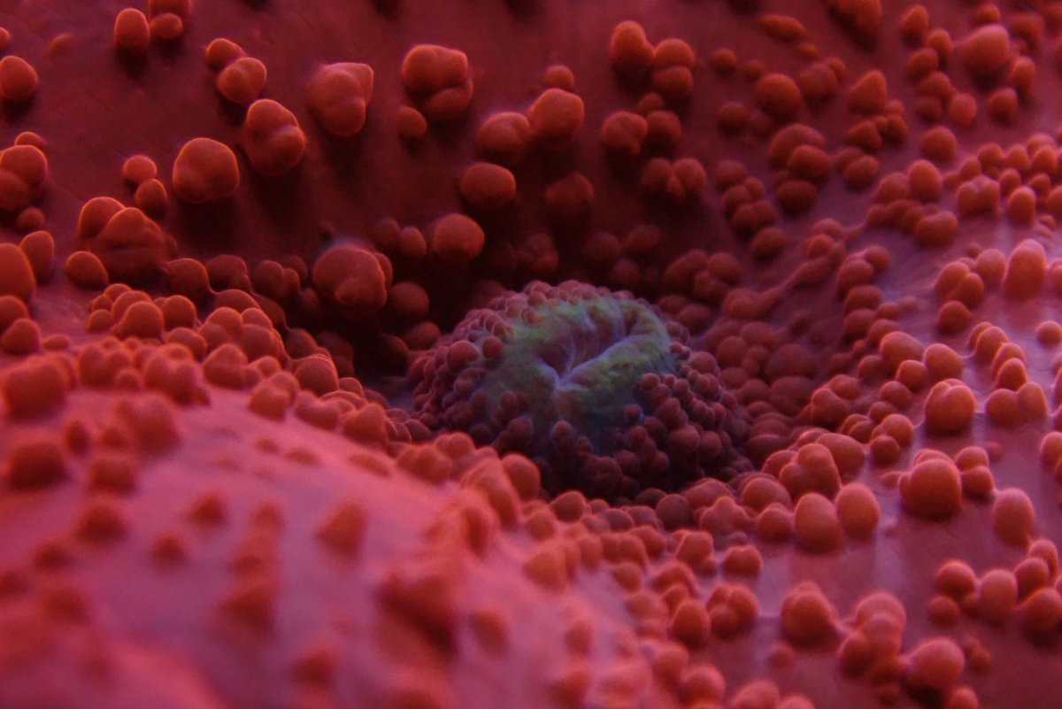 OI000113.jpg