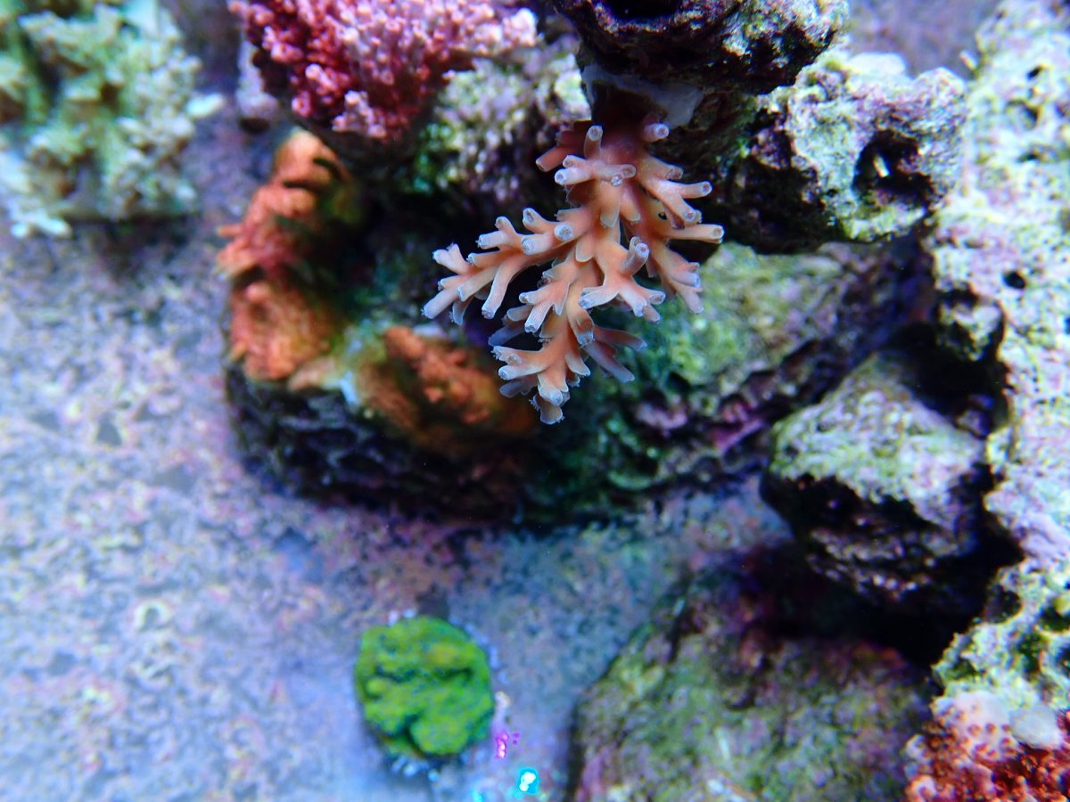 OI000623.JPG