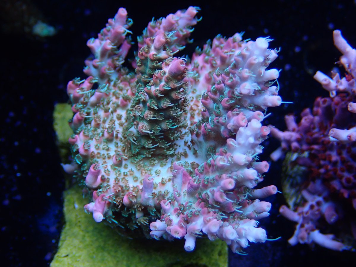 OI000835.JPG