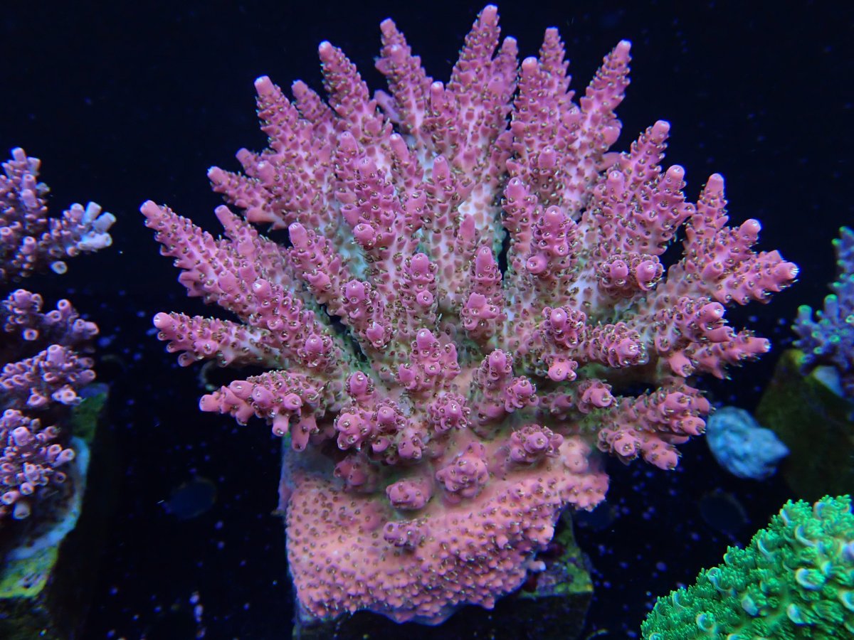 OI000844.JPG