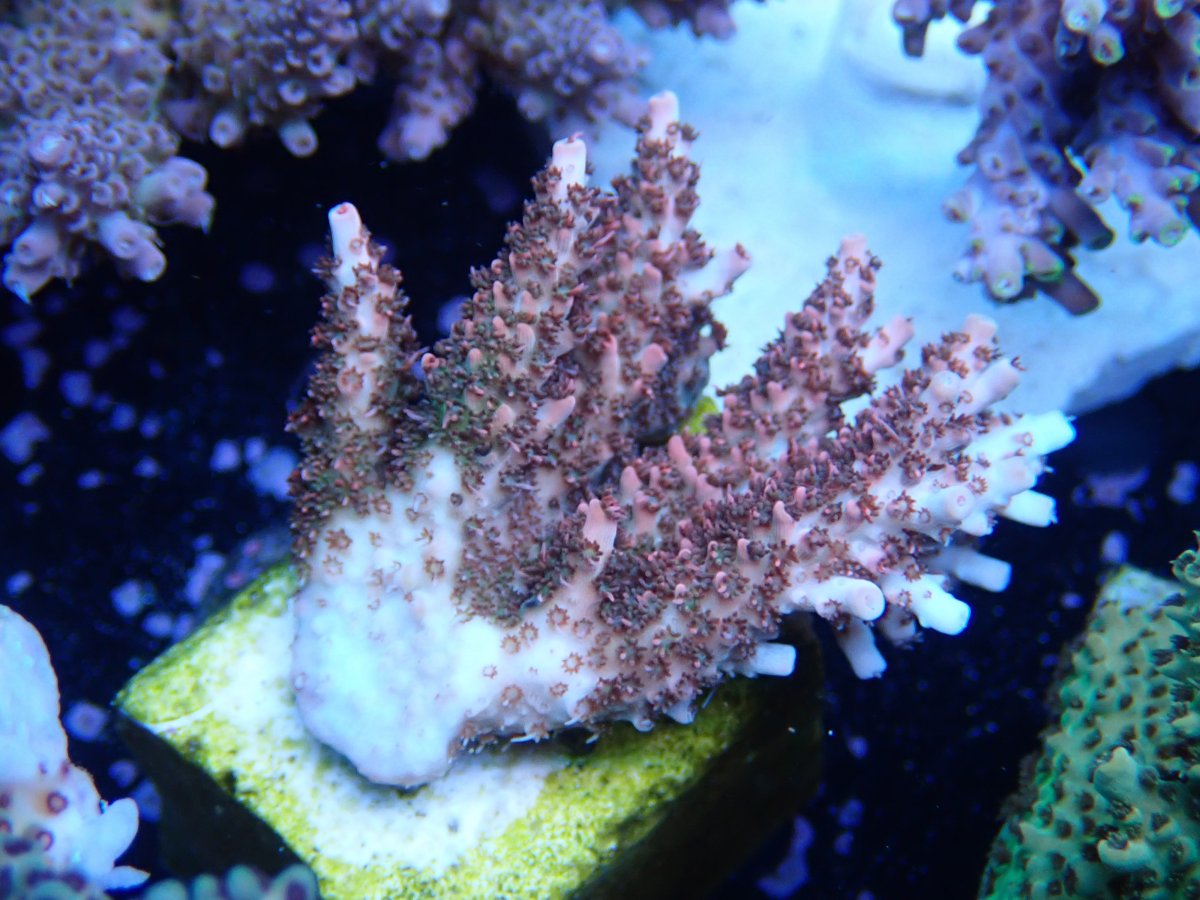 OI001047.JPG