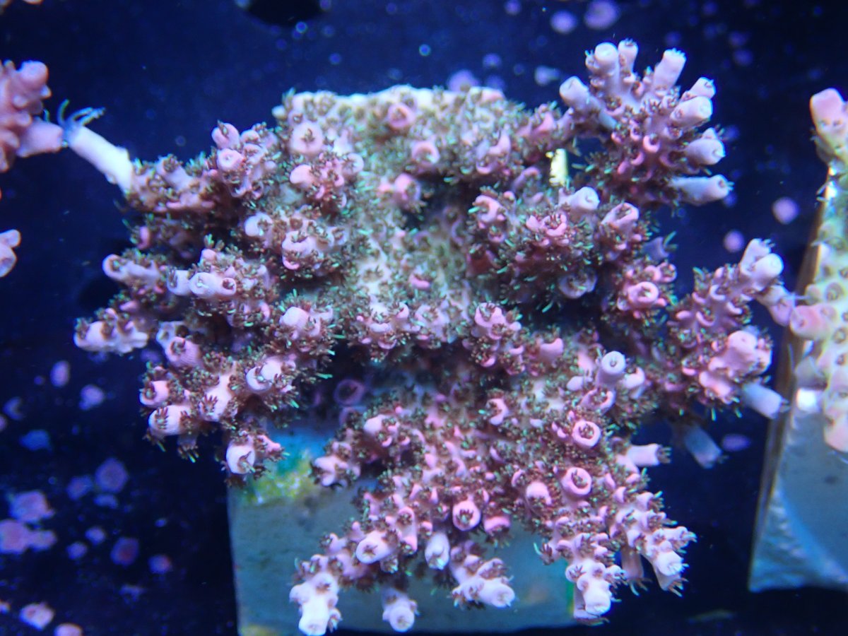 OI001062.JPG
