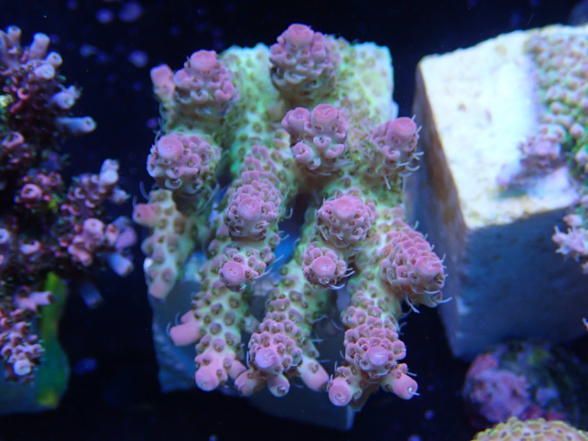 OI001063.JPG