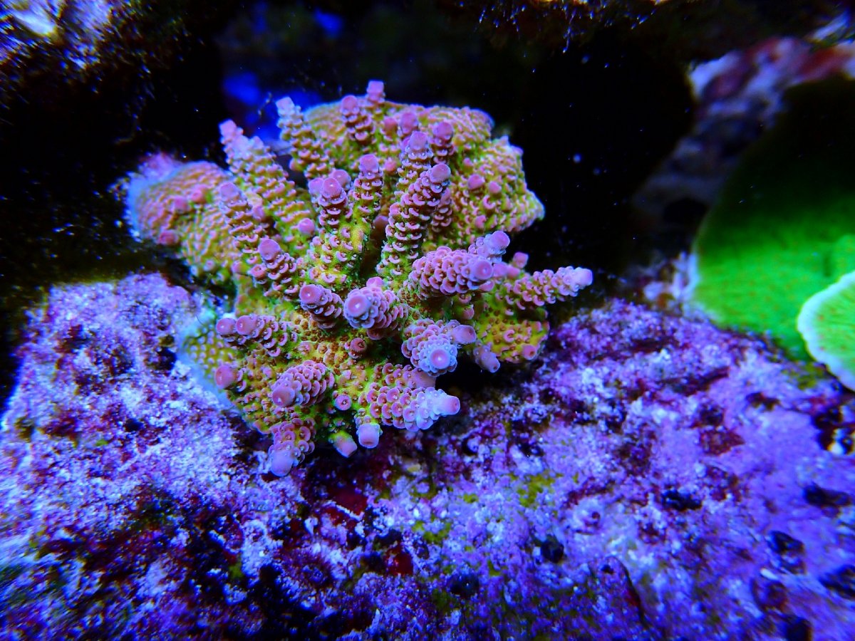 OIP00017.jpg