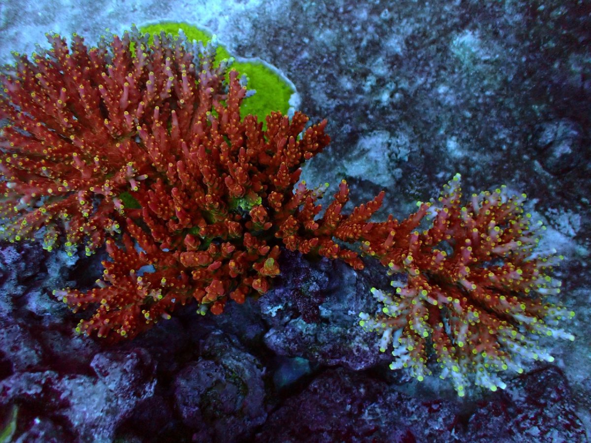 OIP00456.jpg