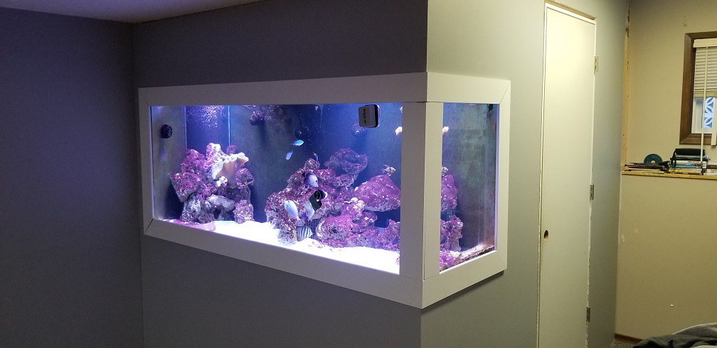 600 gallon sales fish tank