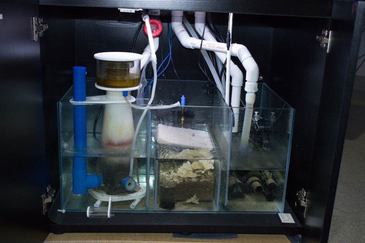 Old Sump.jpg