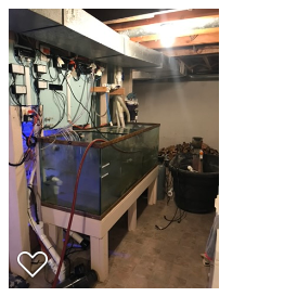 old sump.png