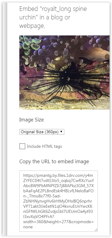 Onedrive - embed link.JPG