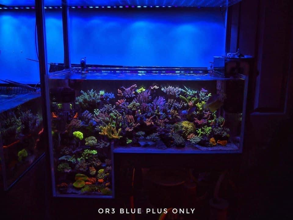 OR3-blue-plus-reef-led-bar-reef-aquarium-