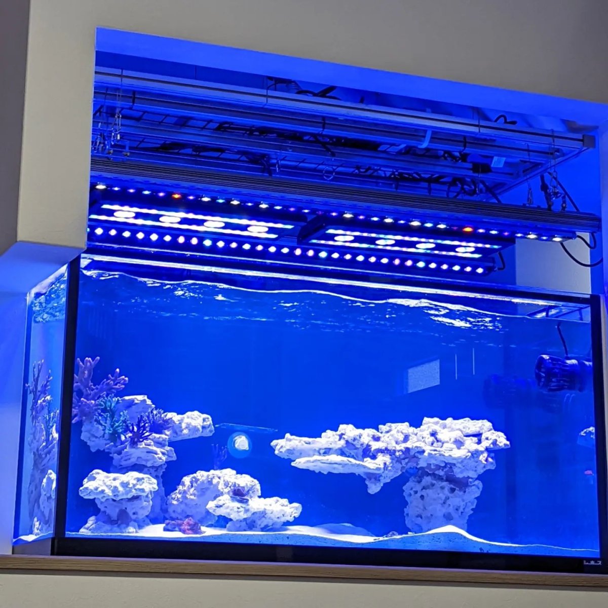 OR3 reef led light Japan aquarium.jpeg