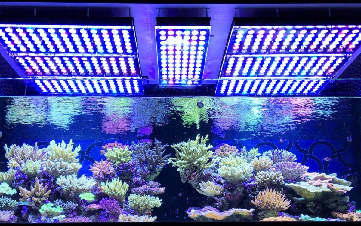 orphek-atlantik-v3-plus-best-reef-light-coral-e1479165216442-1600x1004.jpg