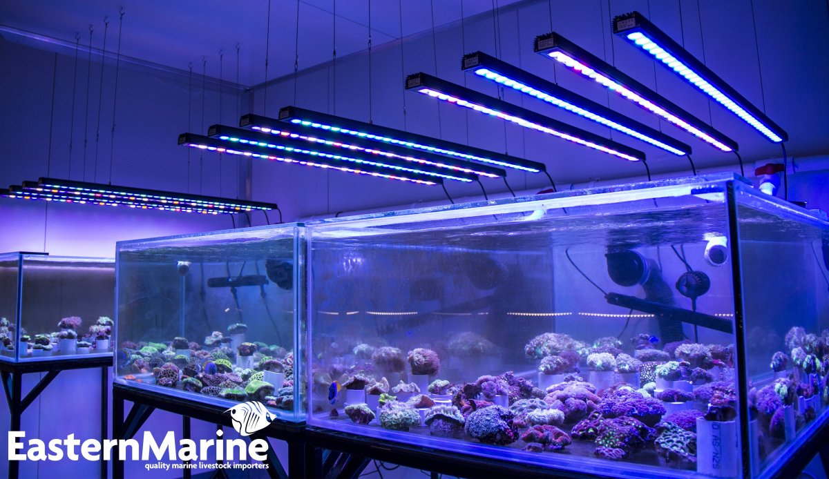 Orphek OR 120 Bar LED Aquarium Lighting.jpg