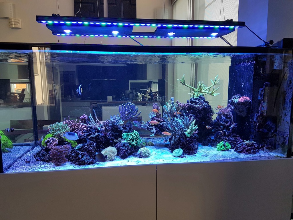 Orphek-OR-bar-LED-reef-aquarium.jpg