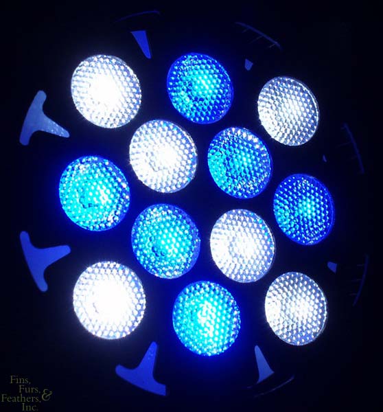 Orphek-PR-25-Dimmable-6-Blue-6-White-LED-Pendant-96.jpg