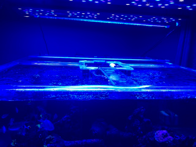 Cube Build - any way to move overflow from center to back of reef