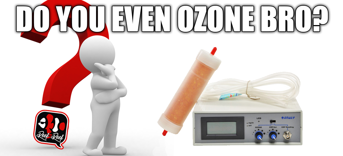 ozone.jpg