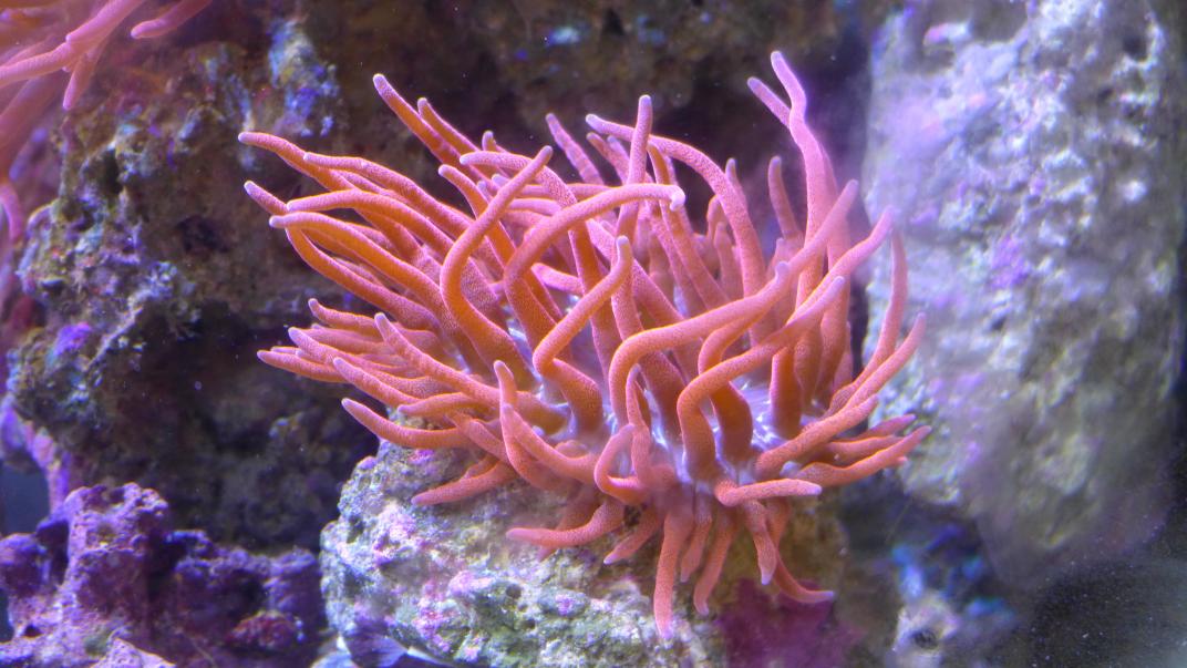 P1000203.jpg