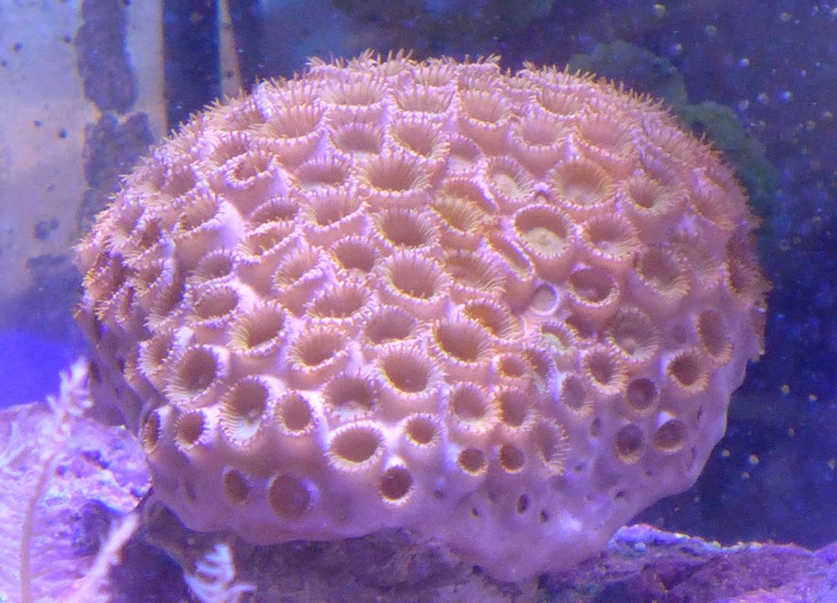 P1000522.JPG