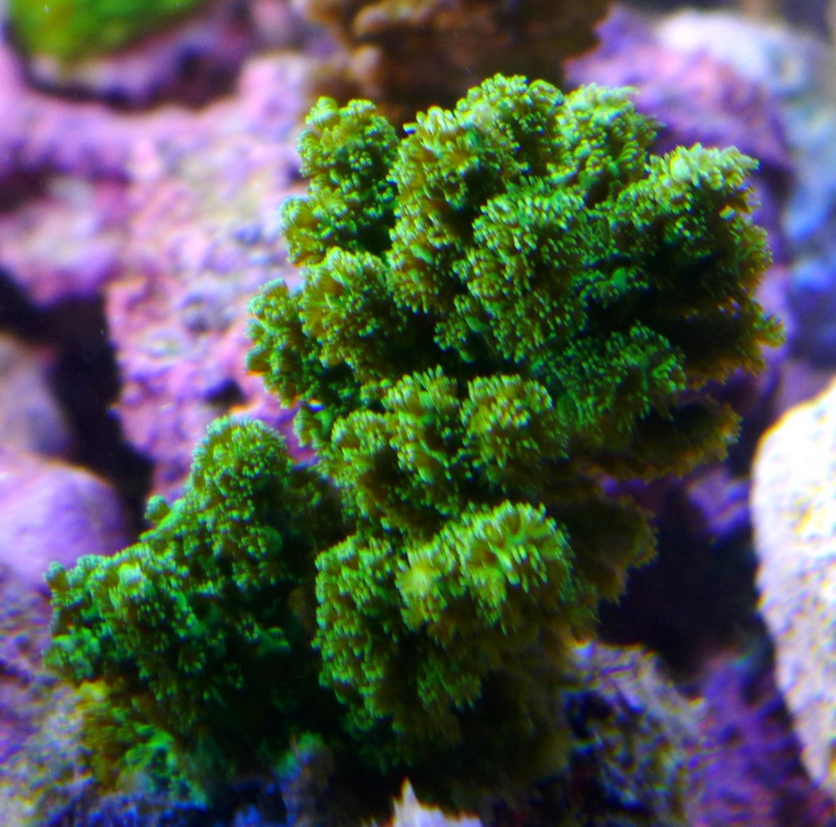 P1010532.JPG