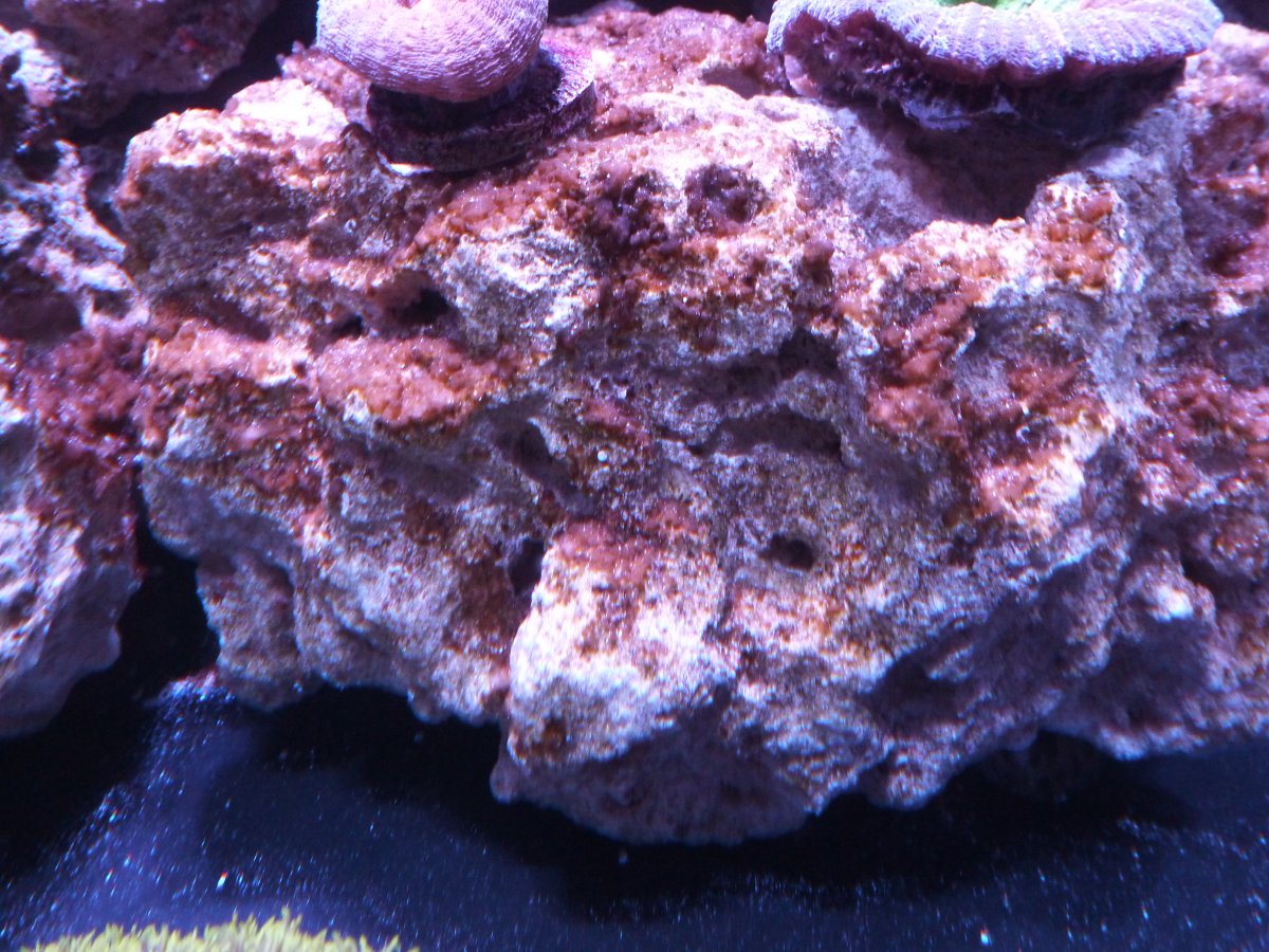 P1010597.JPG