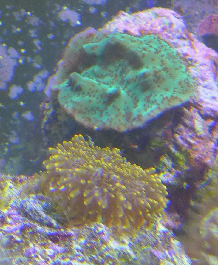 P1010610.JPG