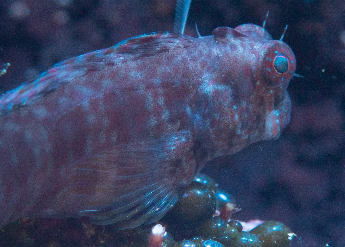 P1020130.jpg