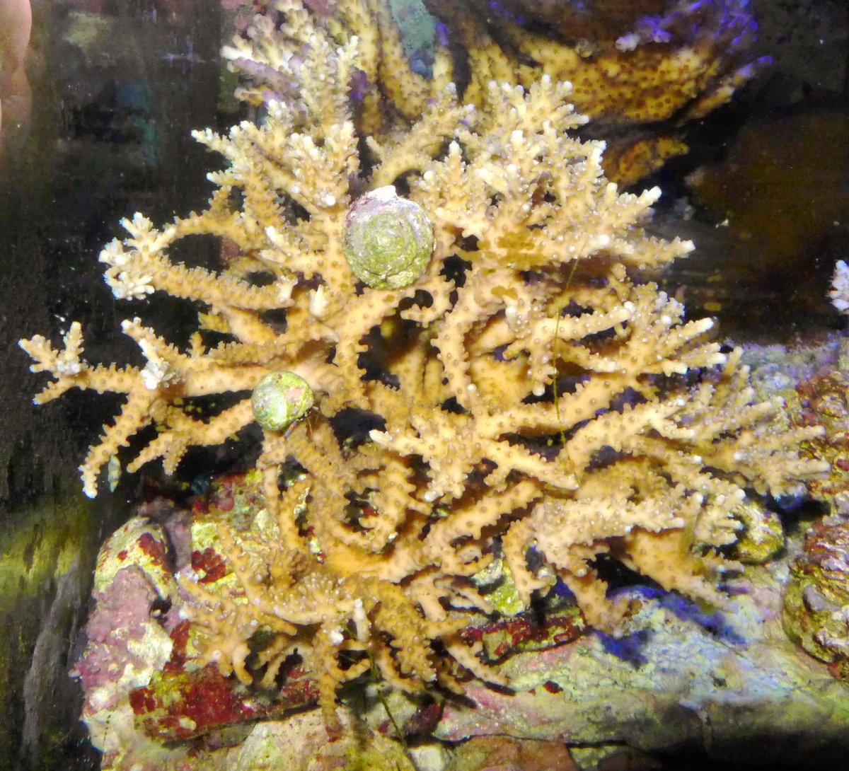 P1020277.JPG