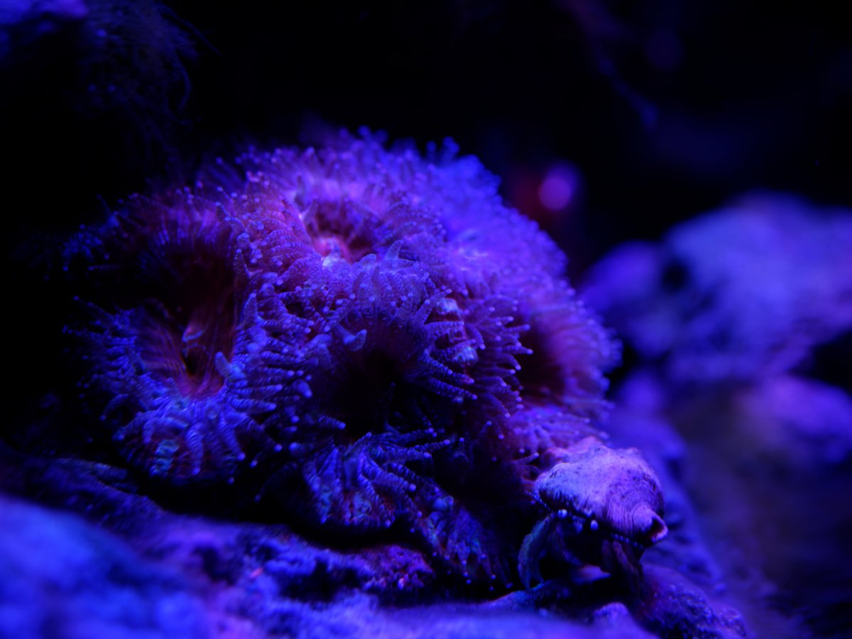 P1020317_DxO.jpg