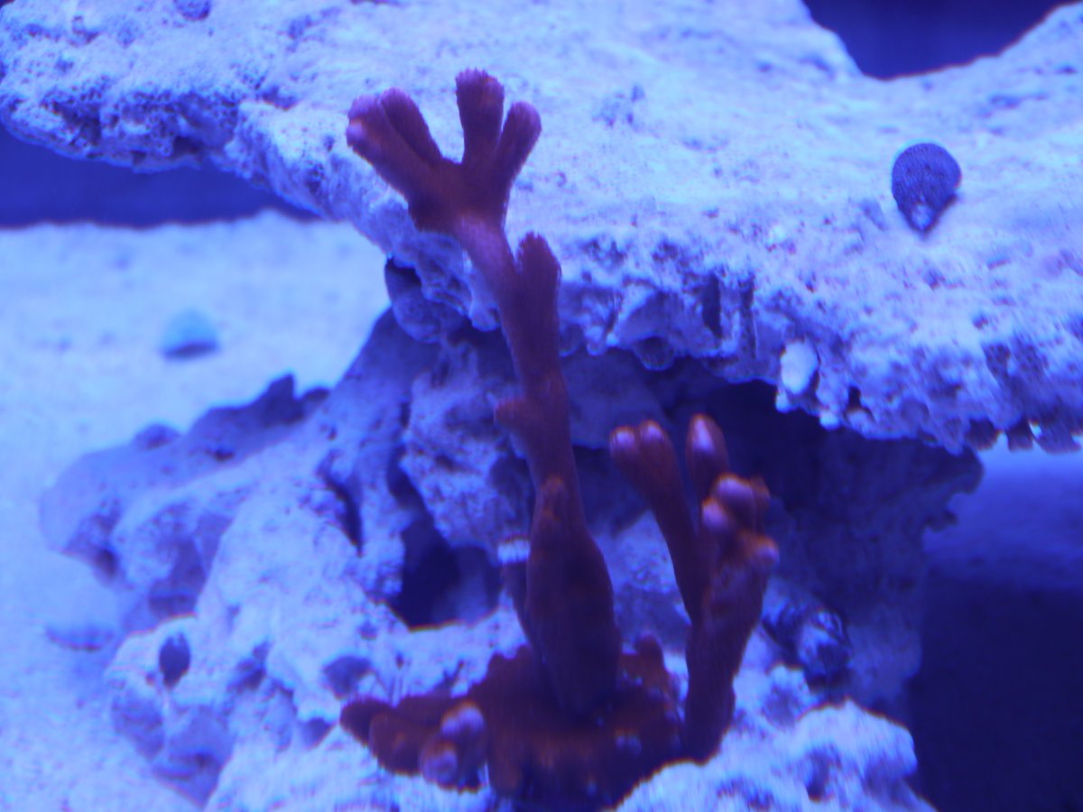 P1030146.JPG