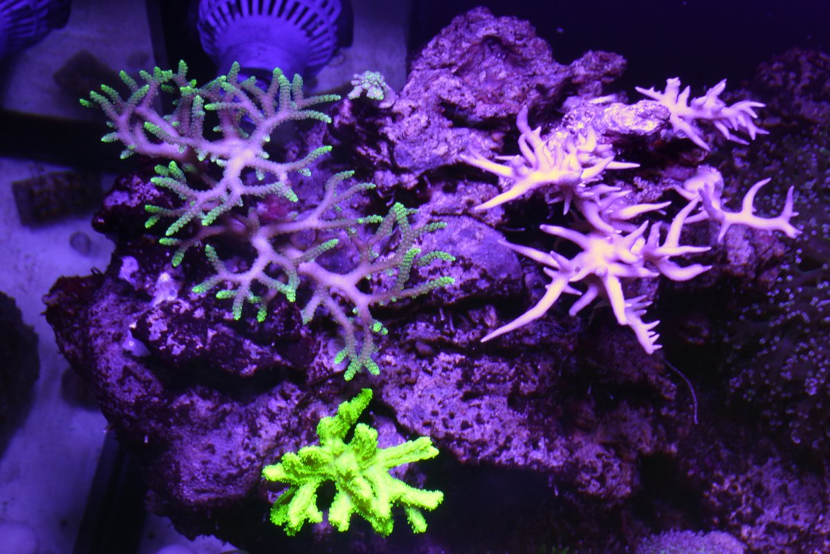 P1030243.JPG