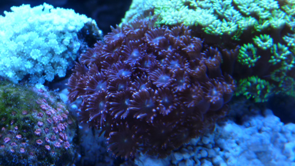P1050477.JPG