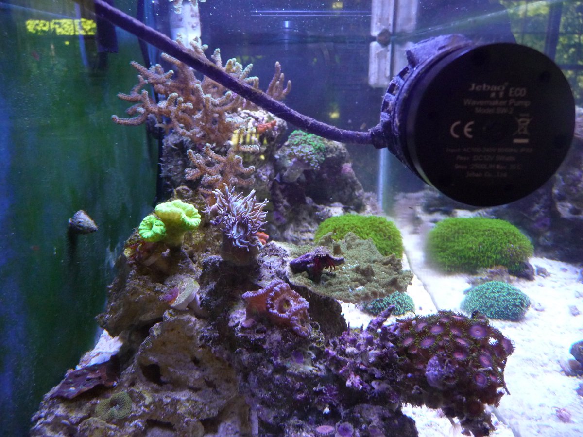 P1070319.JPG