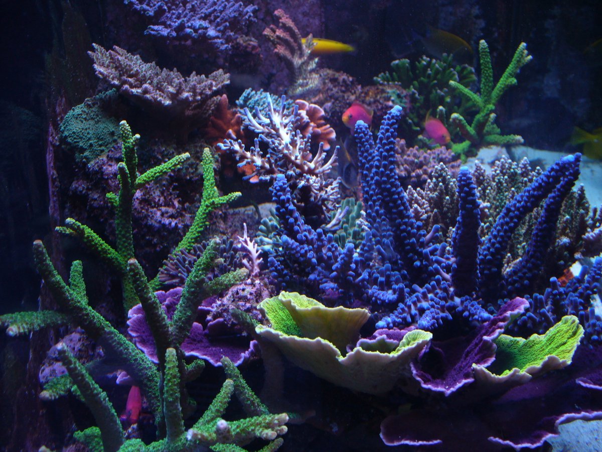 P1080758.jpg