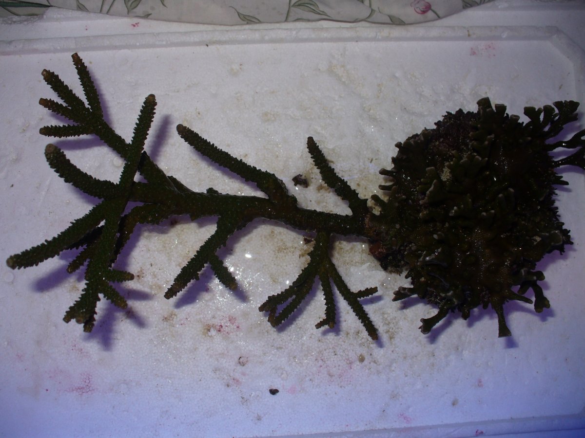 P1090074.jpg
