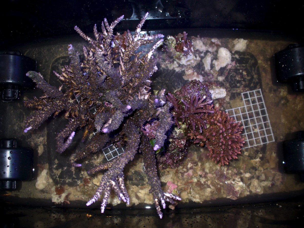 P1120119.jpg