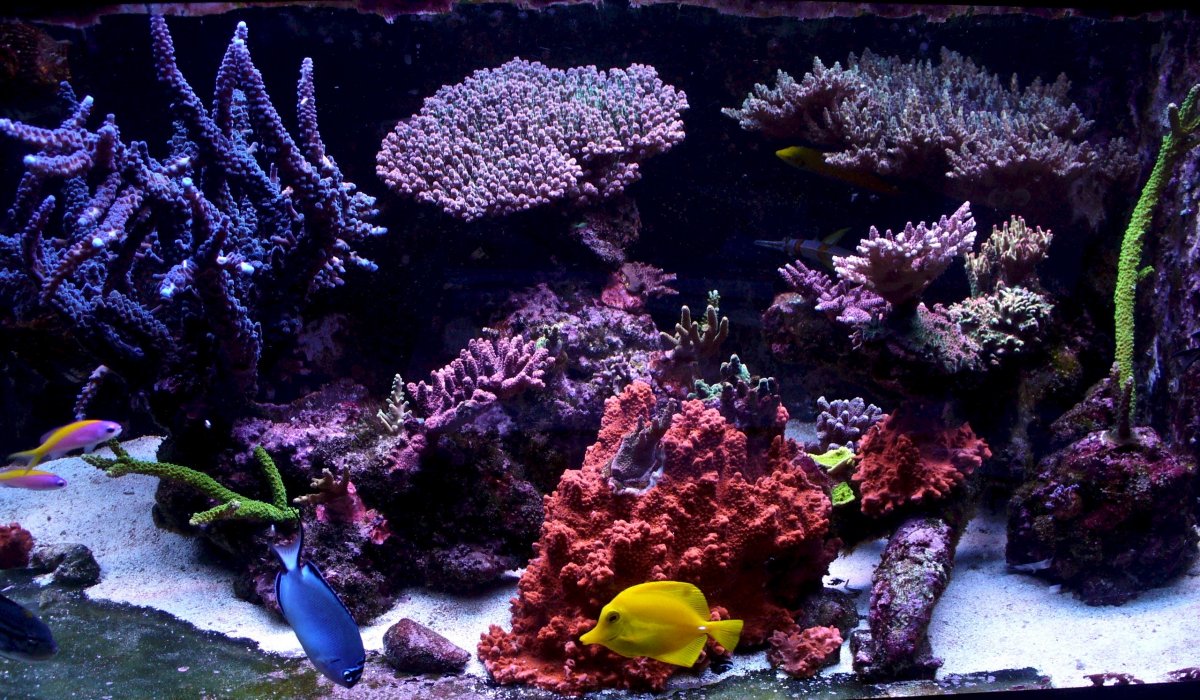 P1120620.jpg